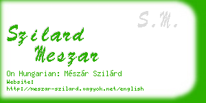 szilard meszar business card
