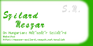 szilard meszar business card